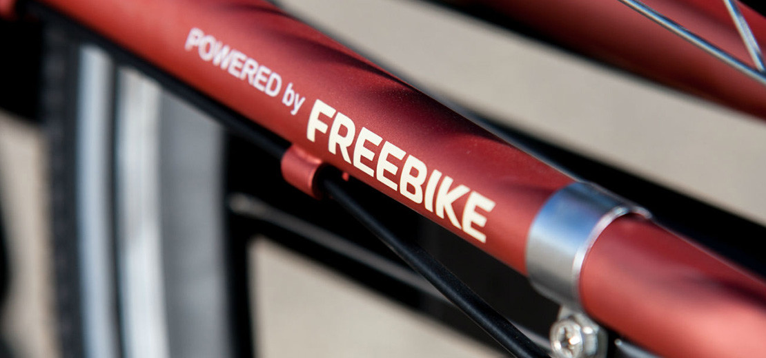 Raap bladeren op aantrekken Er is een trend E-bike online shop | Freebike