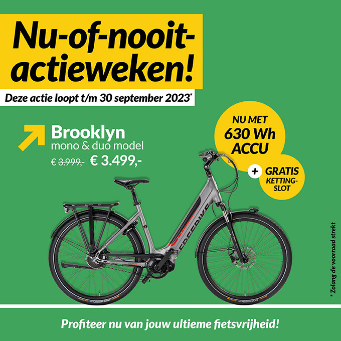 Nederlandse elektrische fietsen | Freebike